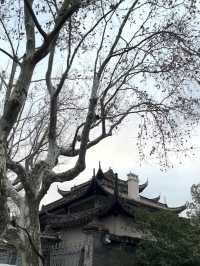 West Lake: The Timeless Beauty of Hangzhou