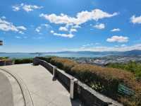 Thrilling Adventures Await at Skyline Rotorua