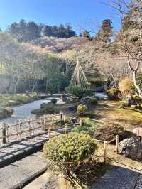 仙台松島円通院⛩️，靜謐的寺庙與美麗庭園