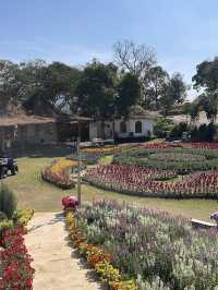 The Peak Flower Land 🌸 เขาใหญ่ 💖