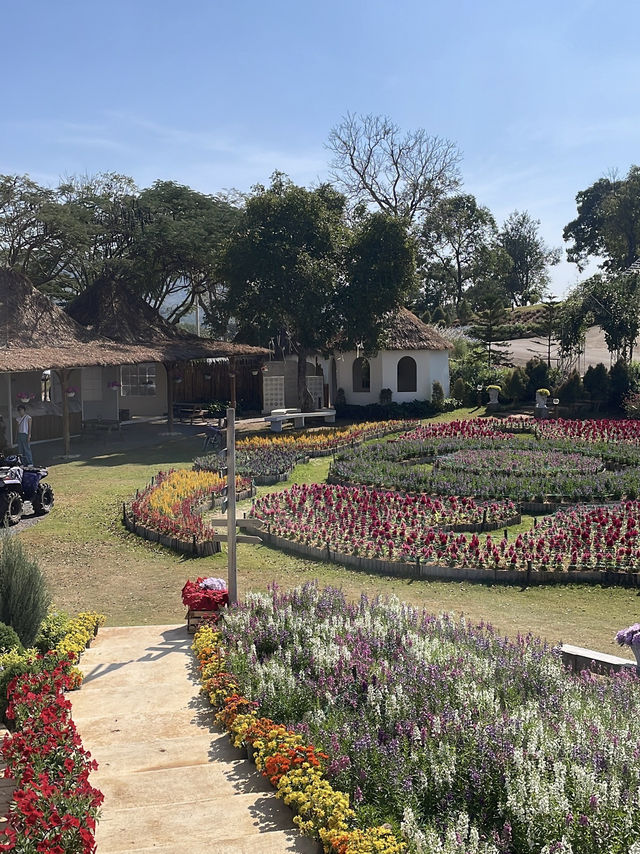 The Peak Flower Land 🌸 เขาใหญ่ 💖