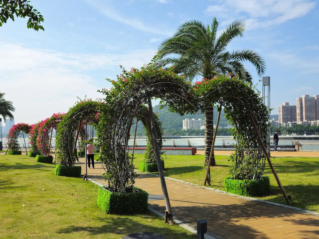 野狸島：都市中的天然綠洲，珠海的世外桃源