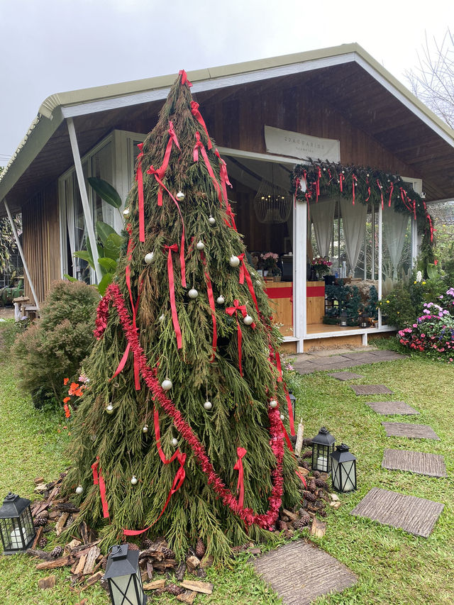 🎄22 Aquarius Glamping Cafe คาเฟ่บนดอยอินทนนท์