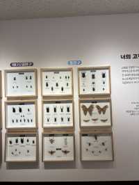 전라북도 다양한 식물 동물이 숨쉬는 자연박물관😁