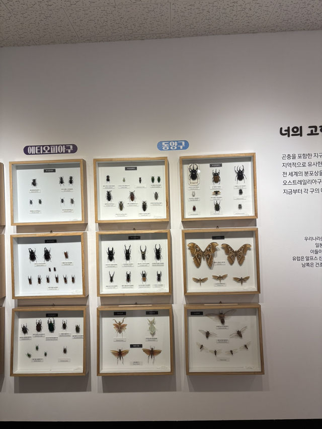 전라북도 다양한 식물 동물이 숨쉬는 자연박물관😁
