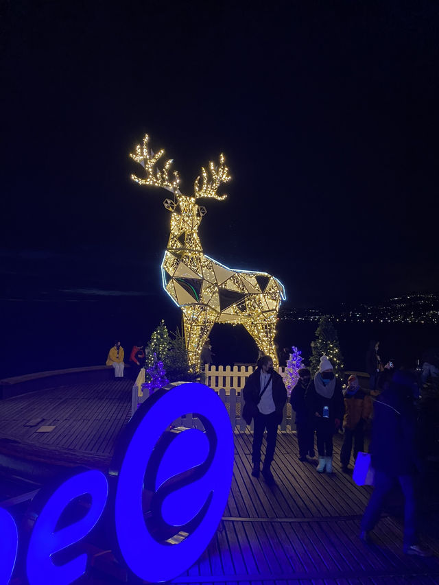 Montreux Christmas Market: A Winter Wonderland on the Swiss Riviera