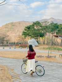 고창에서 즐기는 친환경 여행! 고창 GREEN 발자국 캠페인💚 