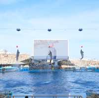 名古屋旅遊～名古屋水族館