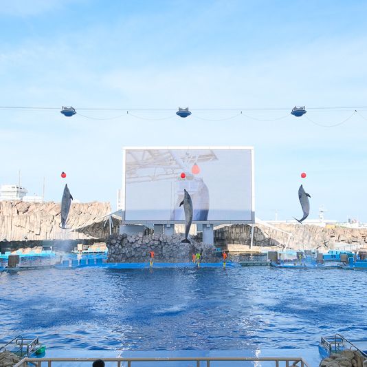 名古屋旅遊～名古屋水族館