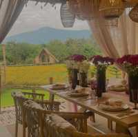 พราวตะวัน by พันดาว เชียงราย