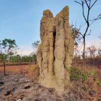 Kakadu National Park, Northern Territory