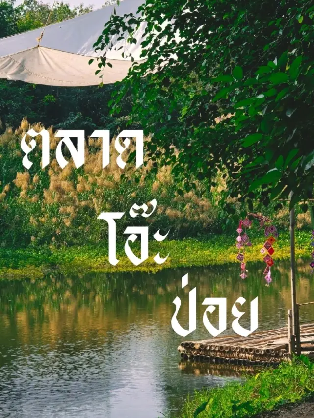 โอ๊ะป่อย市集