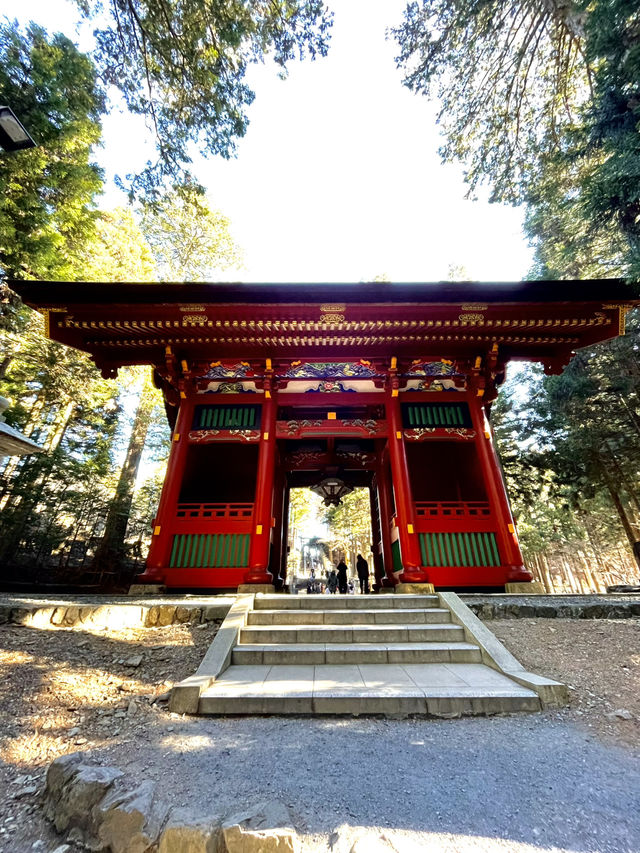 【最強のパワースポット×三峯神社】で2025年のスタートを・・