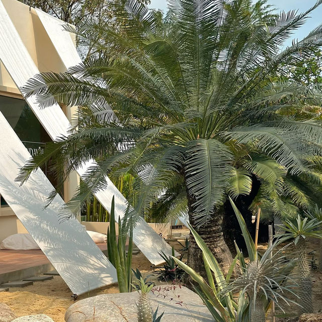คาเฟ่ธีมทะเลทรายสุดปัง จ.ปทุมธานี 🏜️🌵