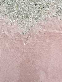 Pink Beach: Nature’s Cotton Candy Coastline