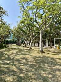 🚶‍♀️‍➡️🌸 人在花叢中｜香港賞花野餐首選海濱公園🥇🌹🌈