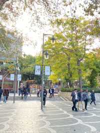 Nizami Street:Where the City Comes Alive