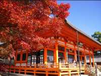 🍁 秋色に染まる大阪・勝尾寺で勝運祈願を！！