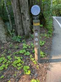 【青森県】奥入瀬渓流〜自然のパワースポット〜