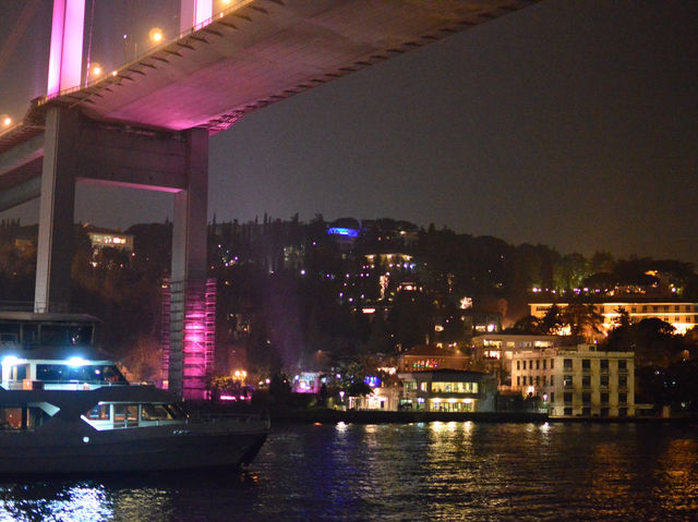 Dinner Cruise on the Bosphorus Strait🚢