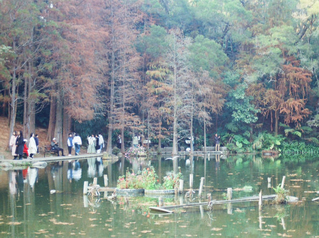 Xianhu Botanical Park — Fairytale Views at the Fairy Lake