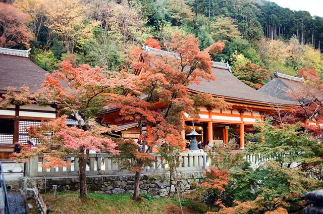 Night Photography Extravaganza -- The Kiyomizu-dera 
