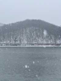 눈으로 뒤덮인 서울근교 드라이브+산책로 추천❄️