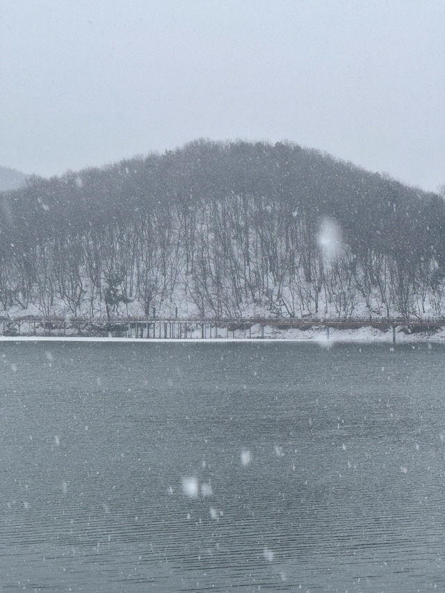 눈으로 뒤덮인 서울근교 드라이브+산책로 추천❄️