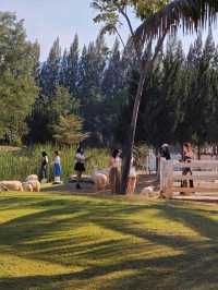 คาเฟ่ BU-CO-LIC เขาใหญ่