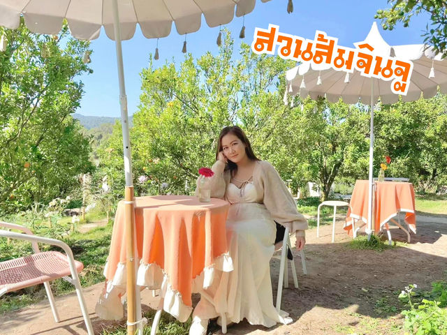 “สวนส้มจินจู”สวนส้มน่ารักสไตล์เกาหลี