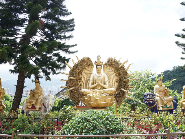 10,000 Buddhas, One Journey: A Peaceful Escape in Sha Tin