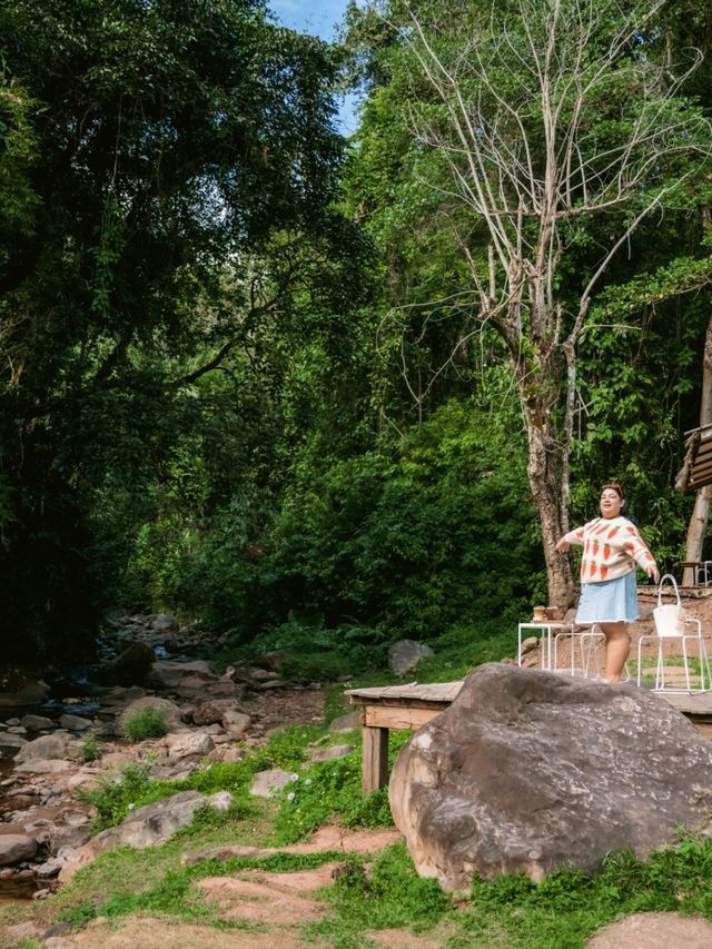 หลงเขา คาเฟ่ น่าน 