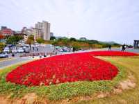 陌上花園浪漫花海