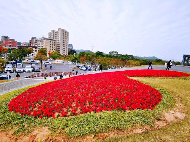 陌上花園浪漫花海
