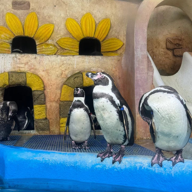 墨田水族館～暢游於水下奇幻世界