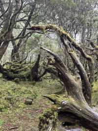 Exploring Tai Ping Shan: Taiwan’s Hidden Outdoor Adventure Paradise
