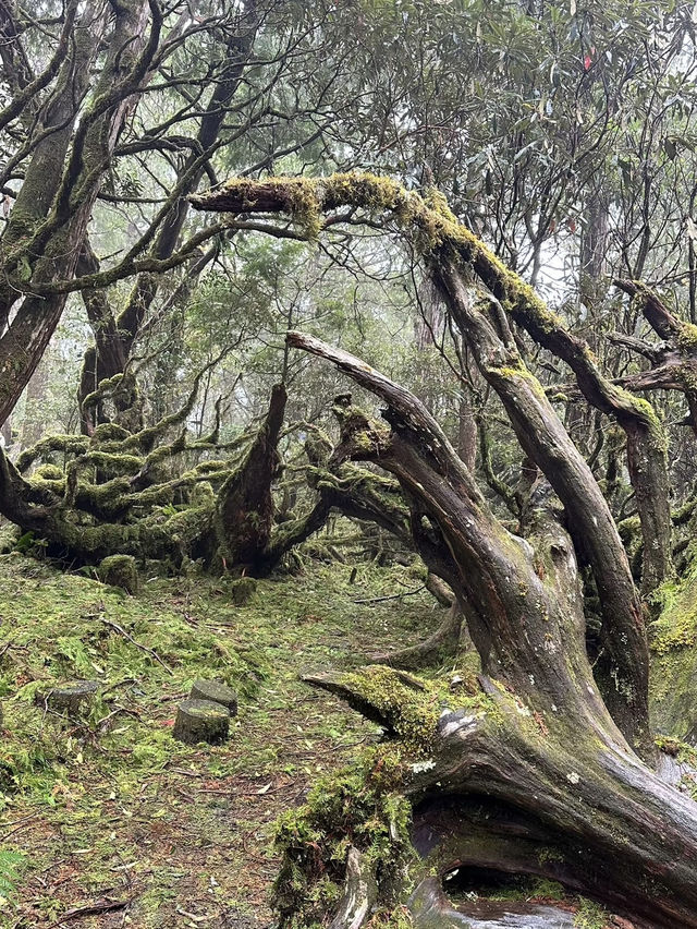 Exploring Tai Ping Shan: Taiwan’s Hidden Outdoor Adventure Paradise