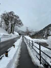 2025/02/12 白川鄉合掌村