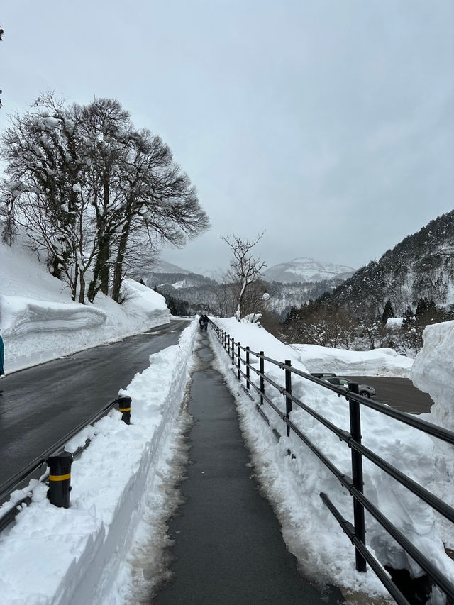 2025/02/12 白川鄉合掌村