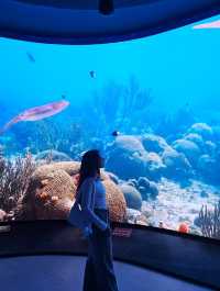 พิพิธภัณฑ์สัตว์น้ำ ราชมงคลตรัง 🐟🐠