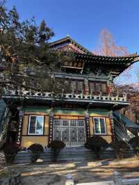 추운데도 절 마당을 스치는 바람 소리를 느낄수 있는 삼성산 보장사🇰🇷