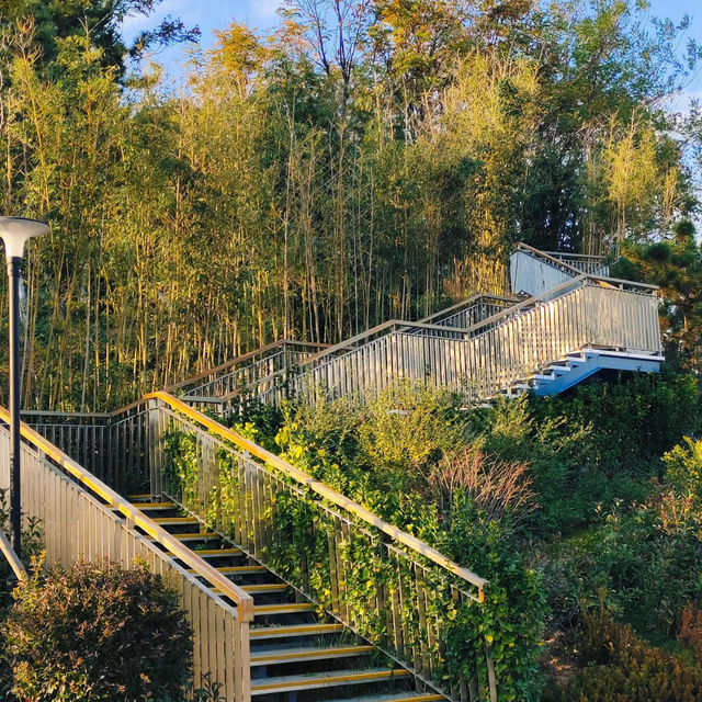長堤公園~歡樂天地  