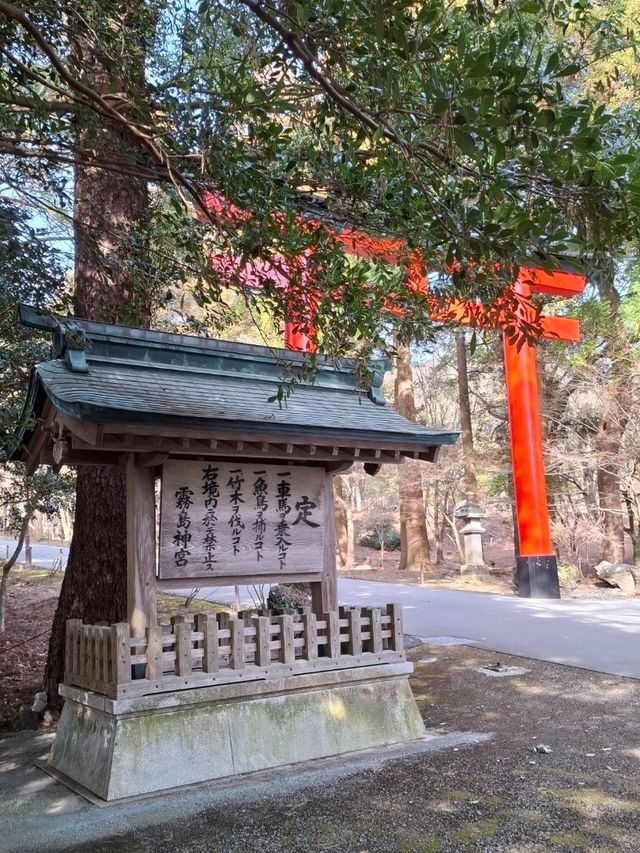 獨旅，南九州，鹿兒島