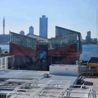 Tempozan Ferris Wheel (天保山大観覧車) – Best Views of Osaka Bay