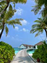 A Dreamy Escape in the Maldives!