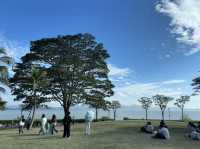海岸線都市綠洲 深圳灣公園🌿