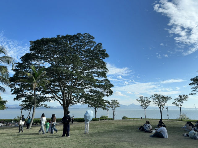海岸線都市綠洲 深圳灣公園🌿