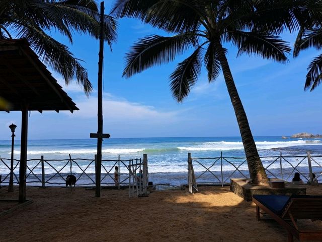 [🇱🇰SRILANKA]コスパ最強⭐ホテル