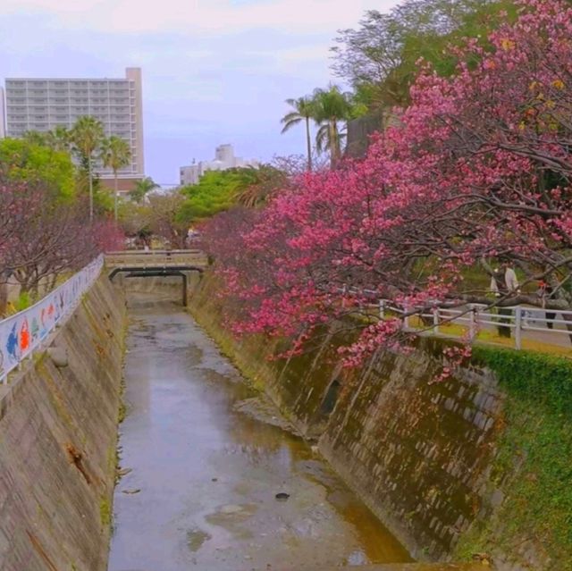 沖繩