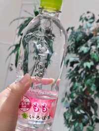 일본은 식도락